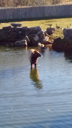 Zoo «NEW Zoo & Adventure Park», reviews and photos, 4378 Reforestation Rd, Green Bay, WI 54313, USA