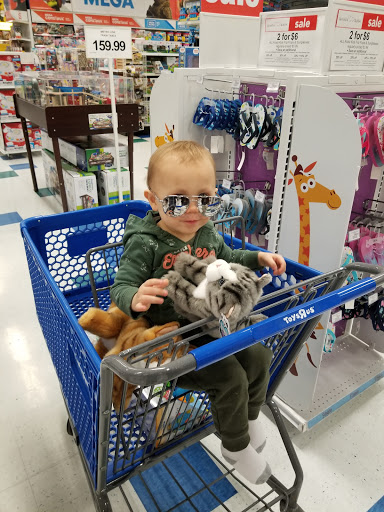 Toy Store «Toys