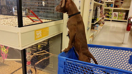 Pet Supply Store «PetSmart», reviews and photos, 159 N Weber Rd, Bolingbrook, IL 60490, USA