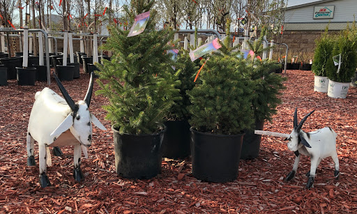 Hardware Store «Scholze Ace Home Center», reviews and photos, 133 County Rd A, Black River Falls, WI 54615, USA