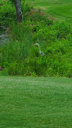 Public Golf Course «Callahan Golf Links», reviews and photos, 4991 Reinhardt College Pkwy, Waleska, GA 30183, USA