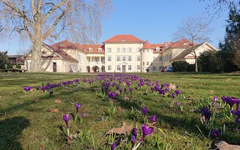 Schlosspark Neckarhausen image