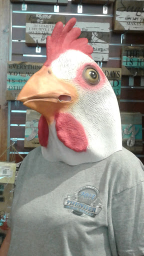 Outdoor Sports Store «Kitty Hawk Kites», reviews and photos, 324 Laskin Rd, Virginia Beach, VA 23451, USA