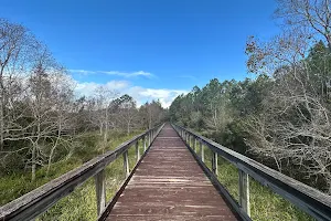 Bayou Marcus Birding Trail image