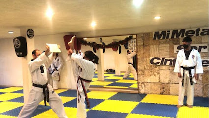 Mora Taekwondo Bosques