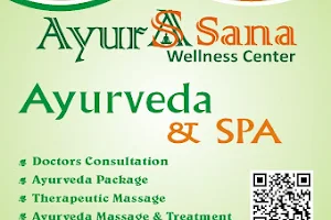 Ayur Sana wellness center image