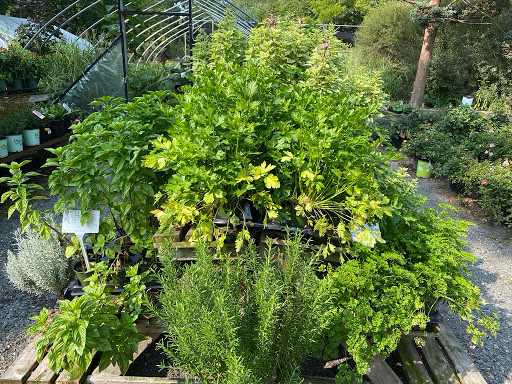 Florist «Butler Florist & Garden Center», reviews and photos, 416 Park Rd, West Hartford, CT 06119, USA