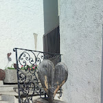 Photo n°2 de l'avis de marian.a fait le 30/07/2023 à 07:24 sur le  Gasthaus Bimesmeier à Kößlarn