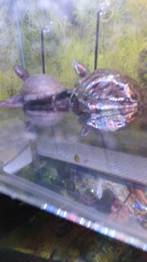 Pet Supply Store «PetSmart», reviews and photos, 1500 E Village Way #2380, Orange, CA 92865, USA