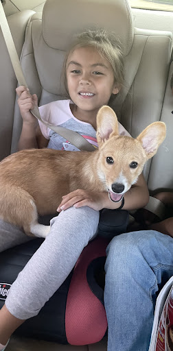 Pet Supply Store «Lil Rascals», reviews and photos, 10035 Gulf Center Dr #105, Fort Myers, FL 33913, USA