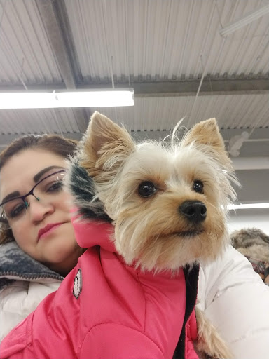 Pet Supply Store «Petco Animal Supplies», reviews and photos, 10 Waterfront Pl, Port Chester, NY 10573, USA