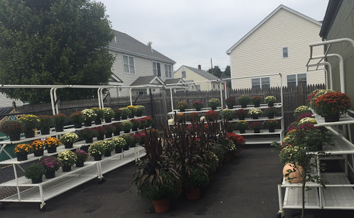 Florist «RoseBud Florist Inc.», reviews and photos, 350 Benefit St, Pawtucket, RI 02861, USA