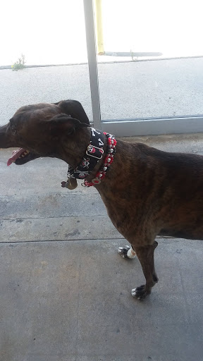 Pet Supply Store «Centinela Feed & Pet Supplies», reviews and photos, 22840 Hawthorne Blvd, Torrance, CA 90505, USA