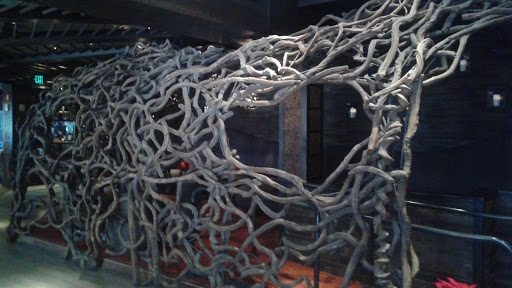 Movie Theater «iPic Theaters», reviews and photos, 301 Plaza Real, Boca Raton, FL 33432, USA