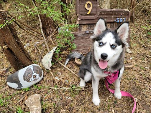 Nature Preserve «Oak Cliff Nature Preserve», reviews and photos, 2875 Pierce Street, Dallas, TX 75233, USA