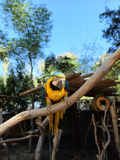 Zoo «Wildlife World Zoo, Aquarium & Safari Park», reviews and photos, 16501 W Northern Ave, Litchfield Park, AZ 85340, USA