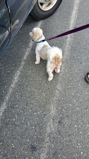 Pet Supply Store «PetSmart», reviews and photos, 2391 NJ-66, Ocean Township, NJ 07712, USA