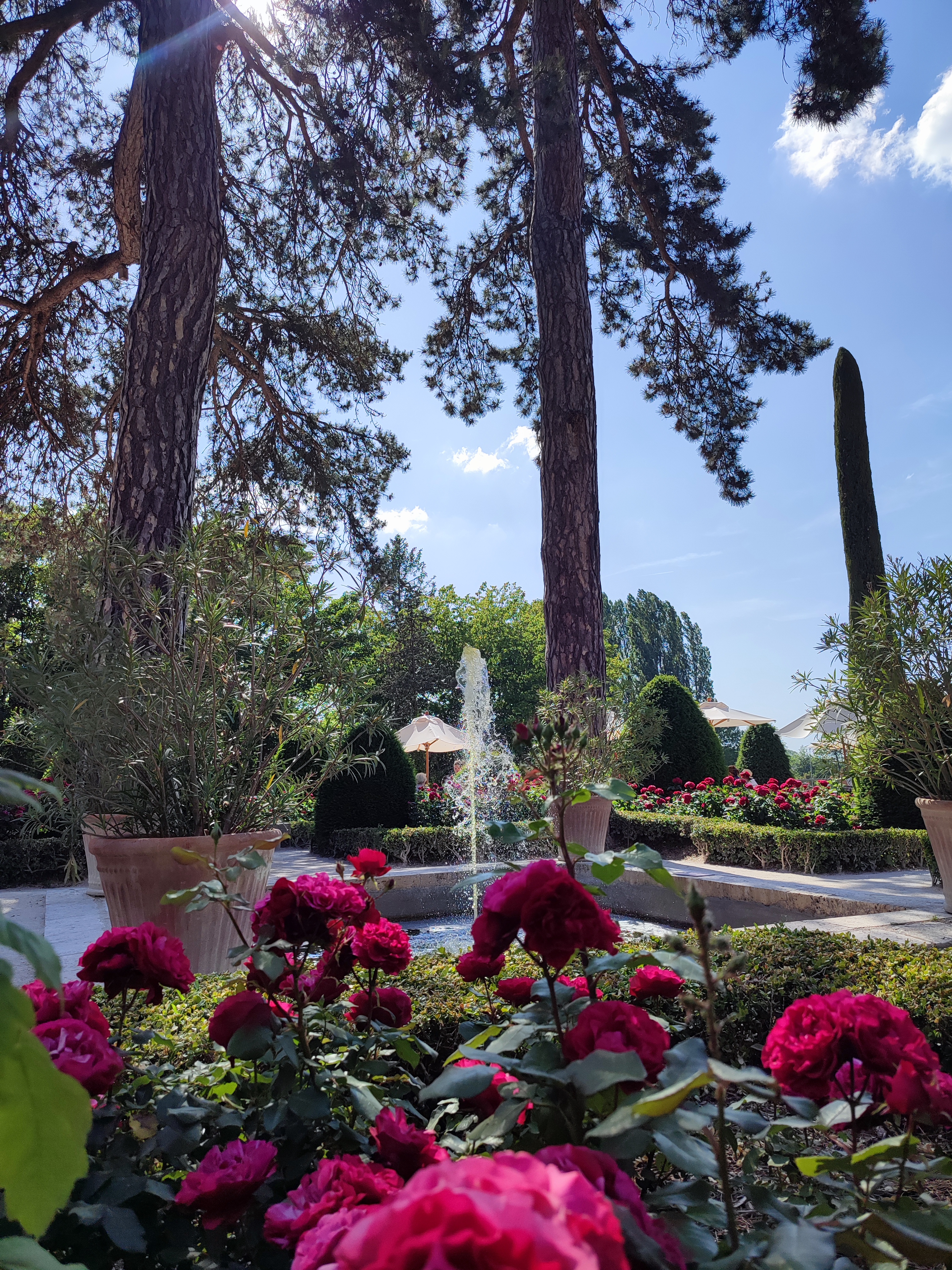 Photo n° 24 de l'avis de nina.a fait le 05/06/2023 à 14:46