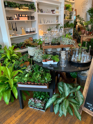 Florist «Fleur de Lis Fresh Flowers», reviews and photos, 516 Selby Ave, St Paul, MN 55102, USA