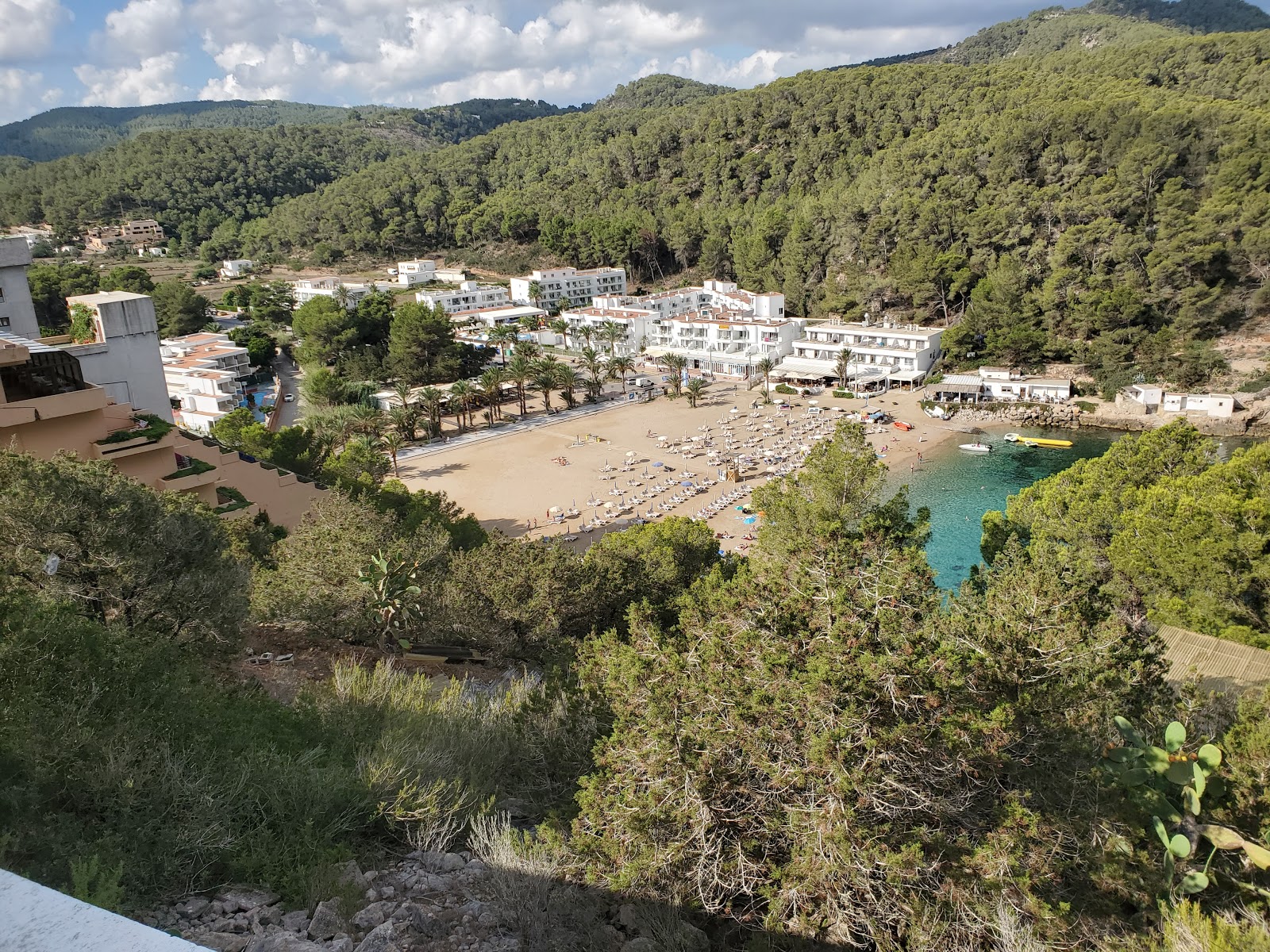 Fotografija Platja des Port de Sant Miquel in naselje