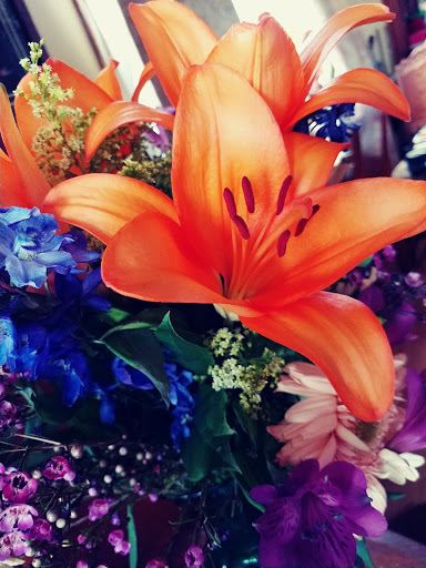 Florist «Westgate Flower & Plant Shop», reviews and photos, 841 S Oak Park Ave, Oak Park, IL 60304, USA