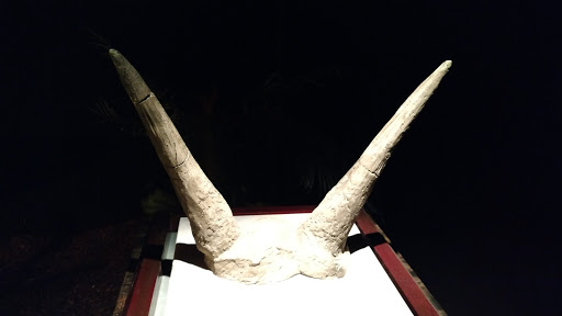 Museum «Portland Science Center», reviews and photos, 68 Commercial St, Portland, ME 04101, USA