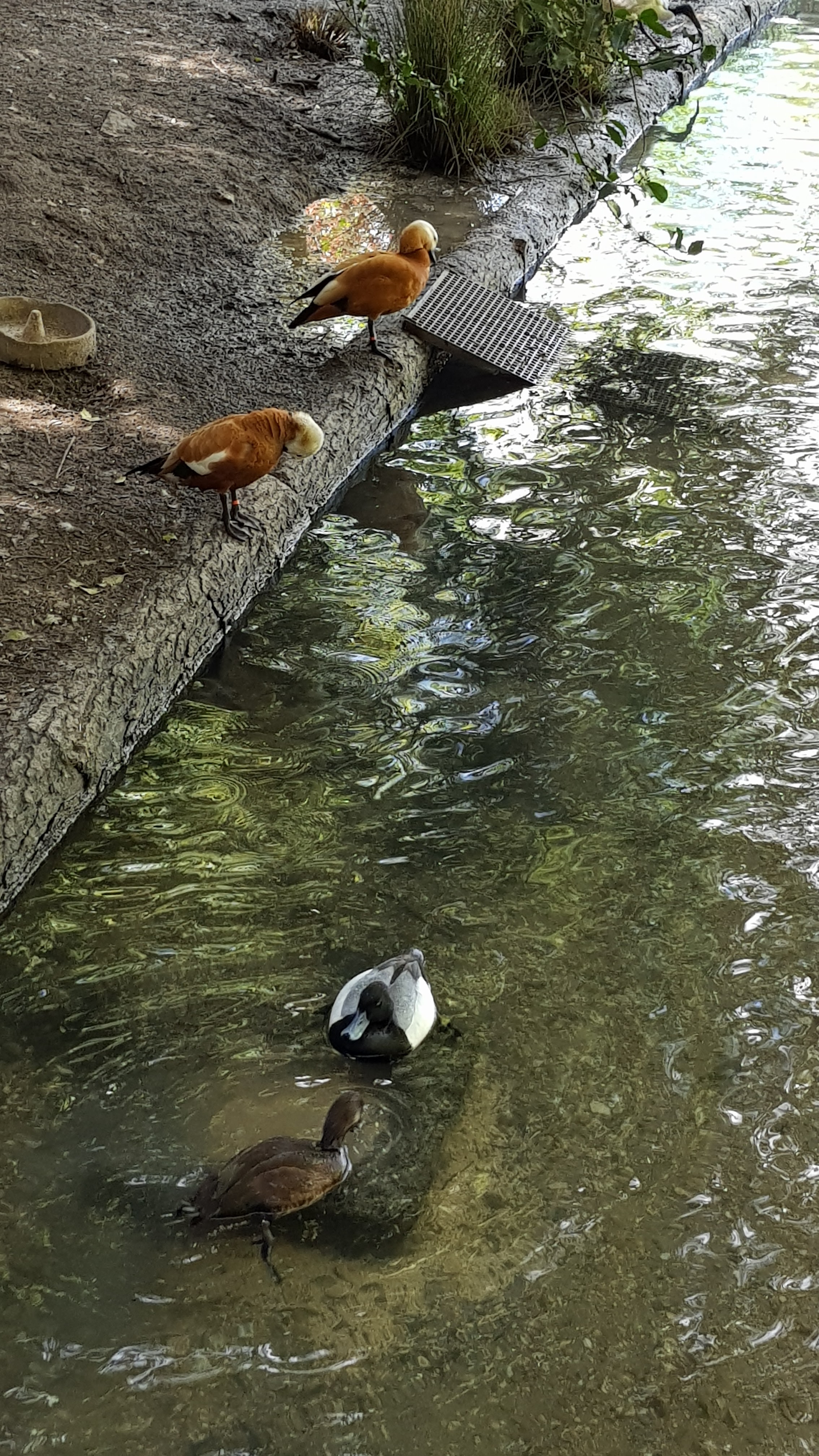 Photo n° 1 de l'avis de Tirlipinpon.u fait le 12/05/2019 à 18:48