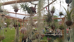 Photo n°3 de Mehl Pierre A L'OREE DU BOIS à Mollkirch ()