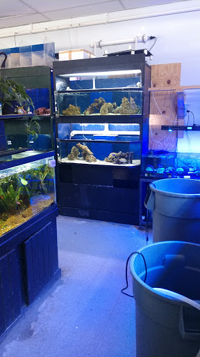 Tropical Fish Store «Blakes Aqua Den LLC», reviews and photos, 1263 E Main St, Meriden, CT 06450, USA