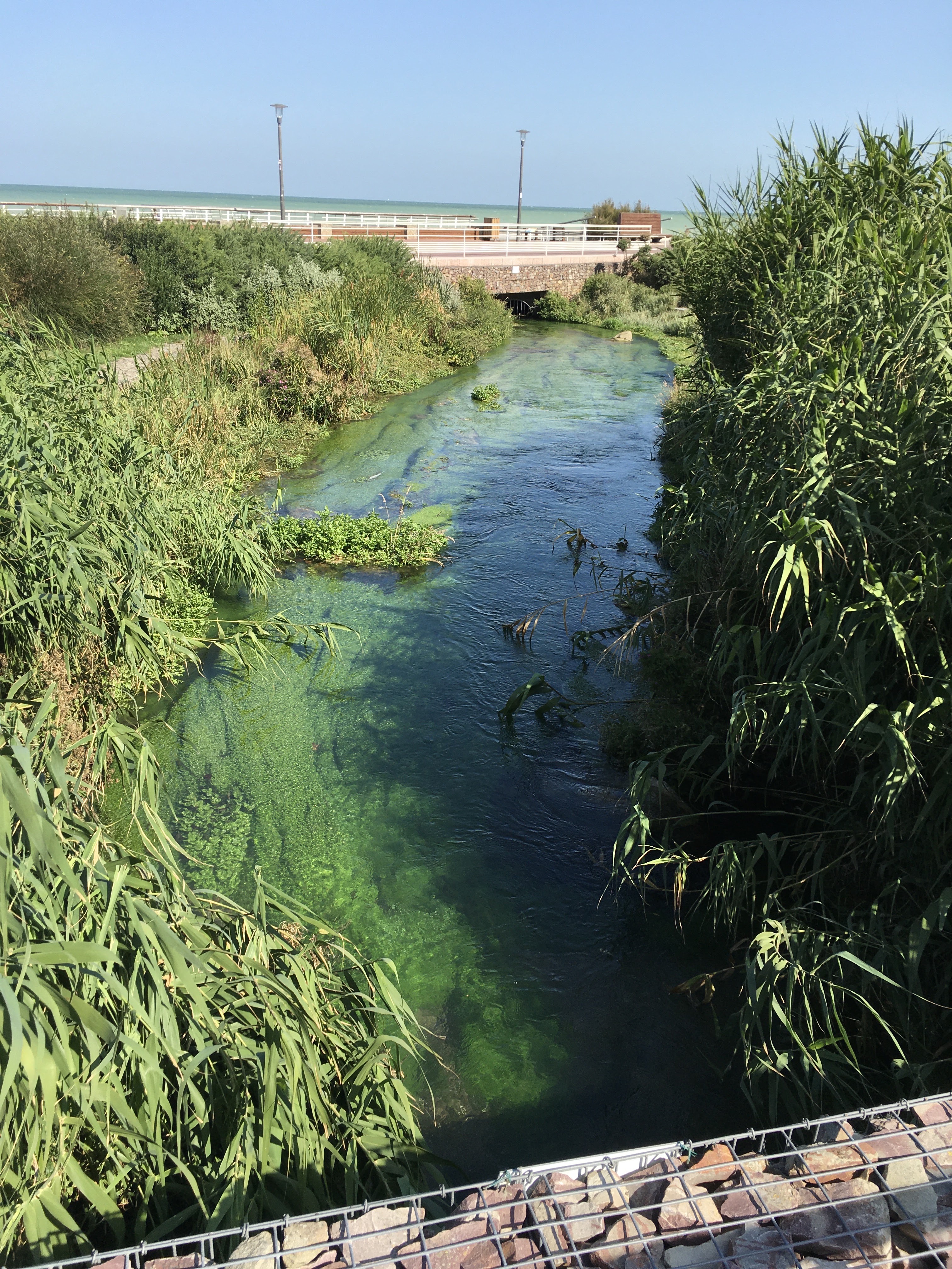 Photo n° 3 de l'avis de Paul-Emile.i fait le 28/09/2020 à 16:11