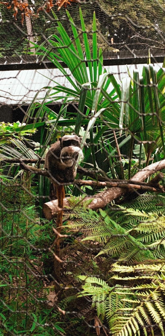 Photo n° 23 de l'avis de Ciccio.e fait le 28/07/2020 à 01:20