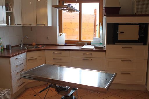 Vet med vet Thomas Went unter Bad Harzburg, 