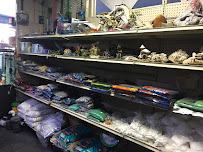 8888 Tropical Fish - Photo 5 - Car repair in Westminster, CA, Santa Ana