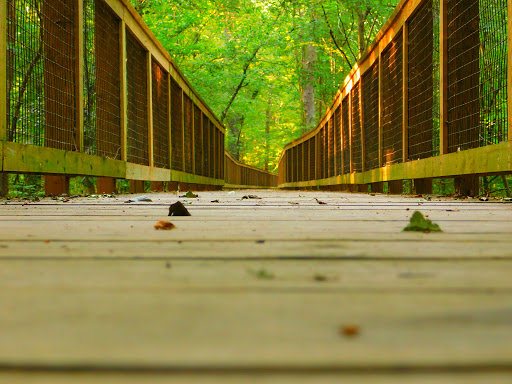 National Park «Congaree National Park», reviews and photos, 100 National Park Rd, Hopkins, SC 29061, USA