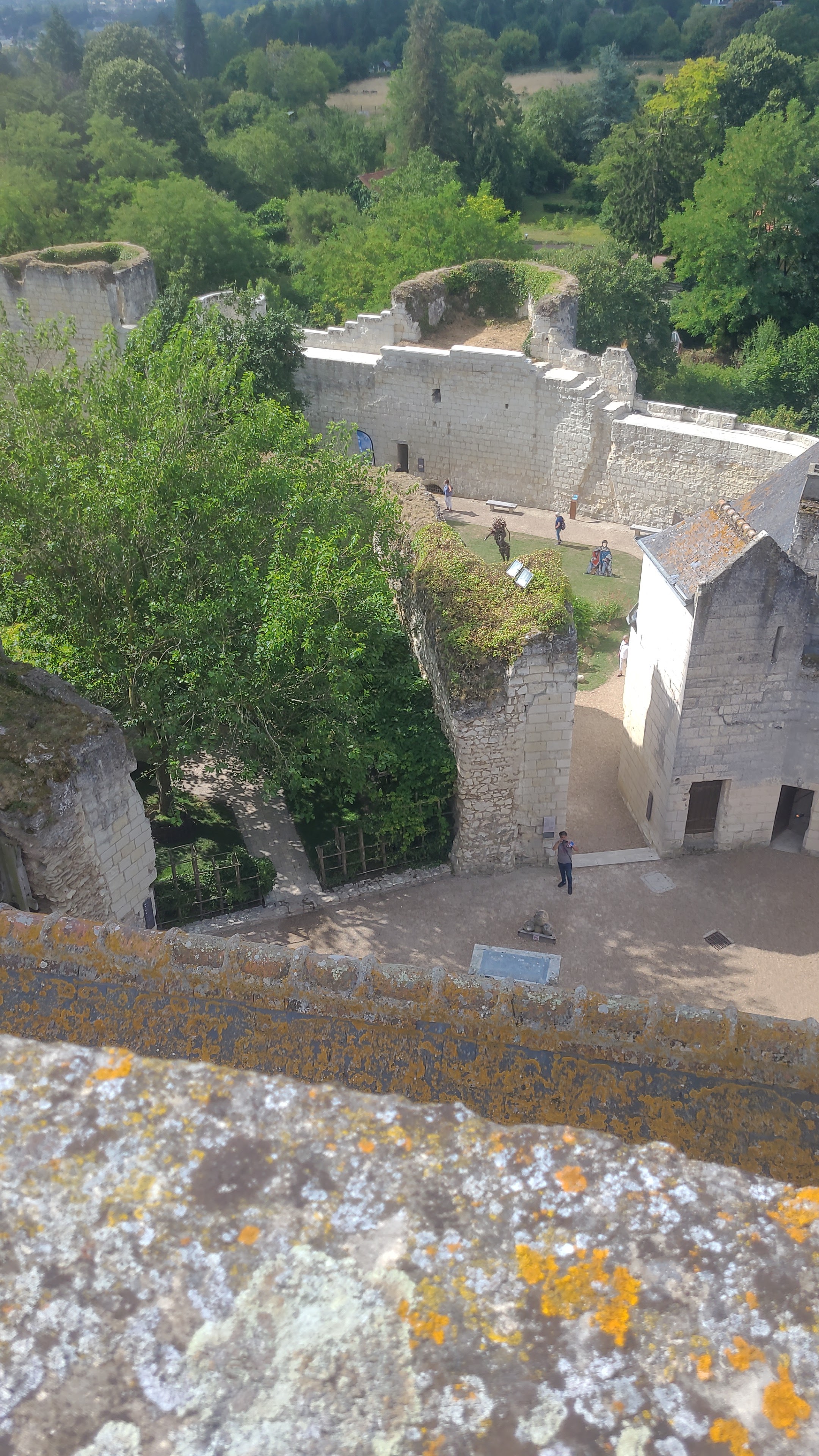 Photo n° 1 de l'avis de Mel. fait le 16/07/2023 à 13:52