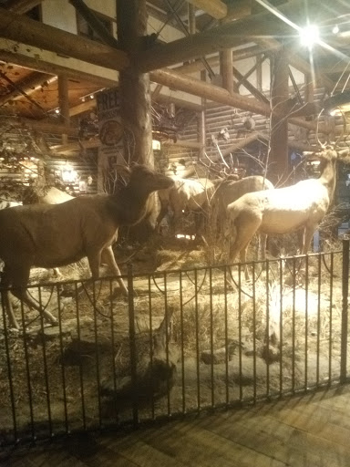 Sporting Goods Store «Bass Pro Shops Base Camp», reviews and photos, 2500 E Kearney St, Springfield, MO 65803, USA