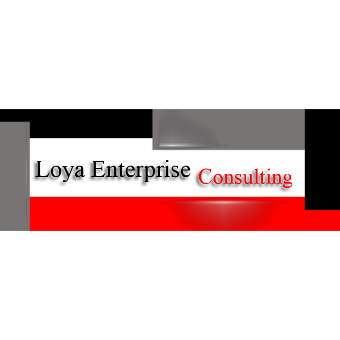 LE-Consulting