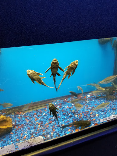 Pet Store «Coral Reef Pet Center», reviews and photos, 7723 W Lawrence Ave, Norridge, IL 60706, USA