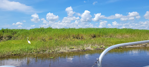 Tourist Attraction «Twister Airboat Rides», reviews and photos, 8199 W King St, Cocoa, FL 32926, USA