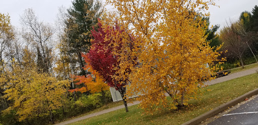 Winery «Three Lakes Winery», reviews and photos, 6971 Gogebic St, Three Lakes, WI 54562, USA