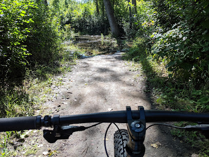 Brownie Lake Mt. Bike Trails