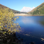 Photo n°2 de l'avis de Rain.o fait le 27/10/2019 à 14:34 sur le  Albergo Ristorante Miralago Calaita à San Martino di Castrozza
