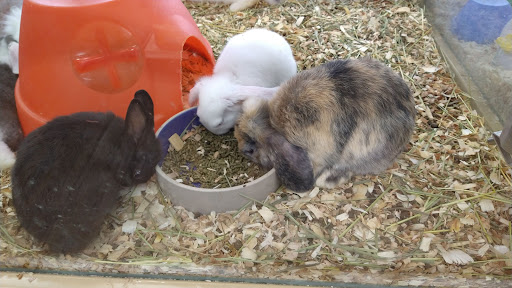 Pet Supply Store «Pet Supermarket, Inc.», reviews and photos, 3911 Lemmon Ave, Dallas, TX 75219, USA