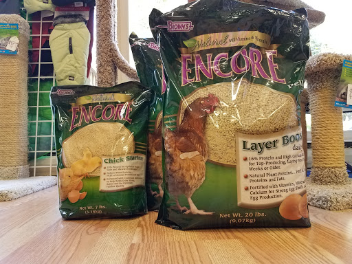 Pet Supply Store «Local Pet», reviews and photos, 415 Gettysburg St #1, Pittsburgh, PA 15206, USA