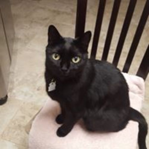 Pet Store «For Healthy Pets!», reviews and photos, 5165 Atlanta Hwy, Montgomery, AL 36109, USA