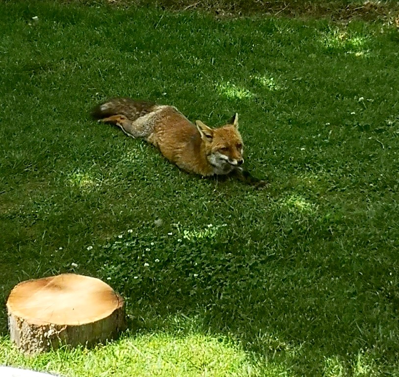 Photo n° 21 de l'avis de Thierry.E fait le 17/06/2022 à 17:40