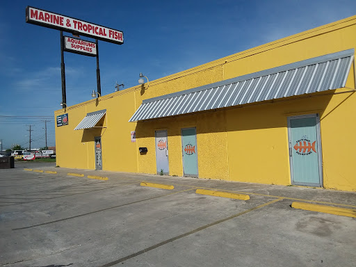 Tropical Fish Store «Salty Fish Aquariums», reviews and photos, 5535 Brewster St, San Antonio, TX 78233, USA