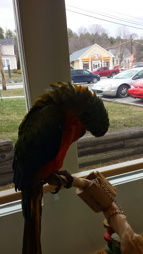 Pet Store «Claremont Pet & Aquarium Center», reviews and photos, 201 Washington St, Claremont, NH 03743, USA