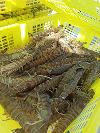 Plats et boissons du Restaurant de fruits de mer Huître DoRê à Ars-en-Ré - n°10