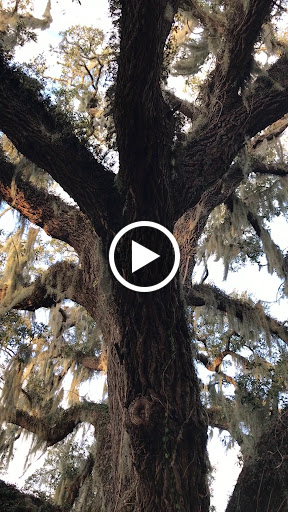 Event Venue «Highland Manor», reviews and photos, 604 E Main St, Apopka, FL 32703, USA